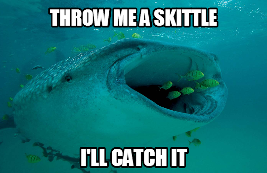 shark_catch_skittles