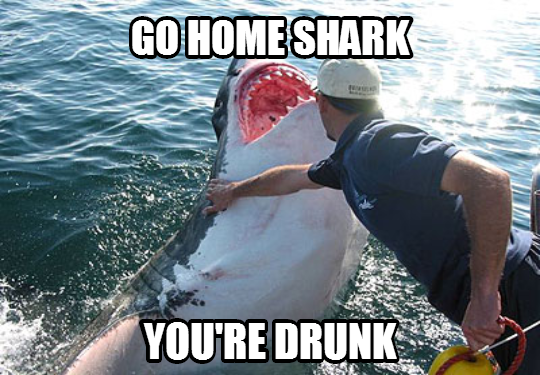 shark_go_home_drunk