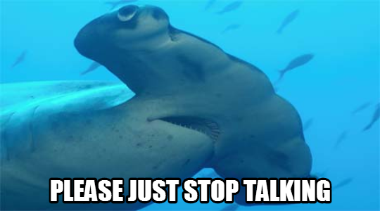shark_please_stop_talking