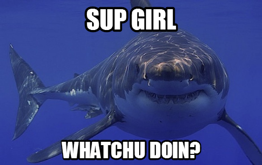 shark_sup_girl