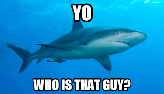 shark_whos_that_guy